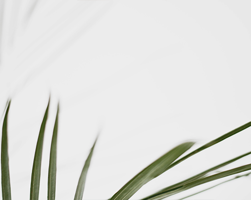 Beikeshop 1.5.5.4 new version released! ! !